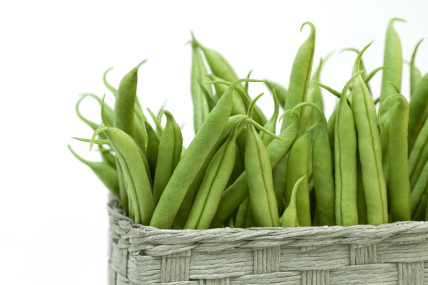 Recette purée de haricots vers, avec la SMENO & Nutrimis !